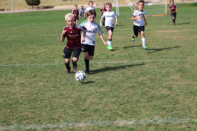 上海海港队 上海海港队