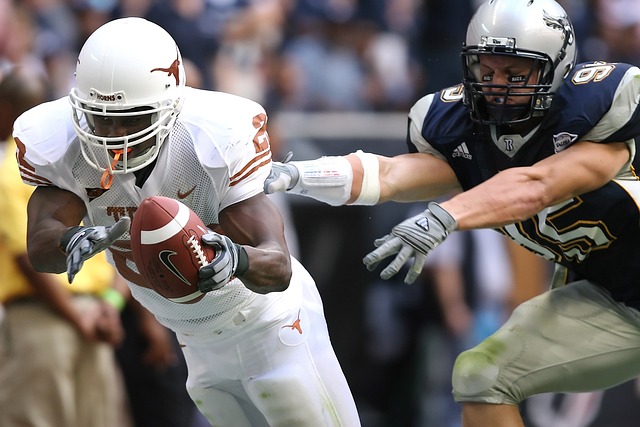 新鲜的活力 新鲜的活力