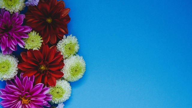 还能为年轻 还能为年轻