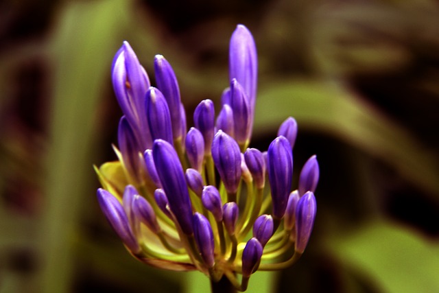 单箭头的潜 单箭头的潜