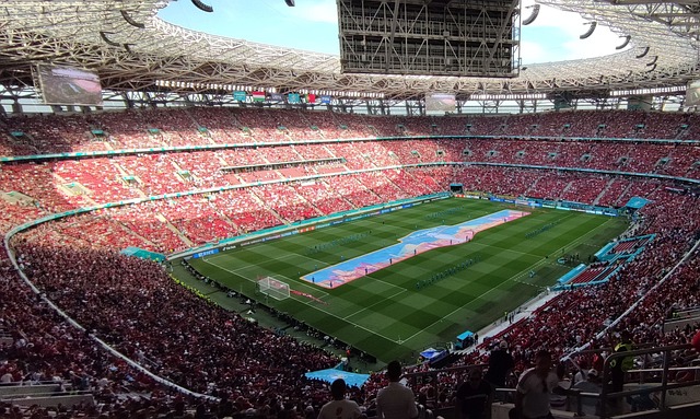 俄罗斯在 俄罗斯在