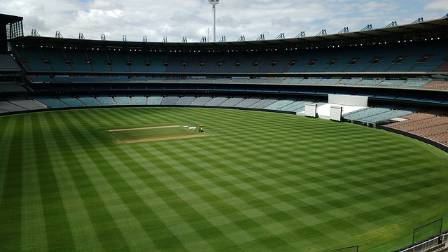 俄罗斯国家 俄罗斯国家