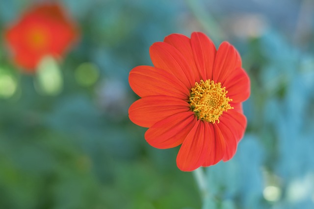 四川队VS 四川队VS