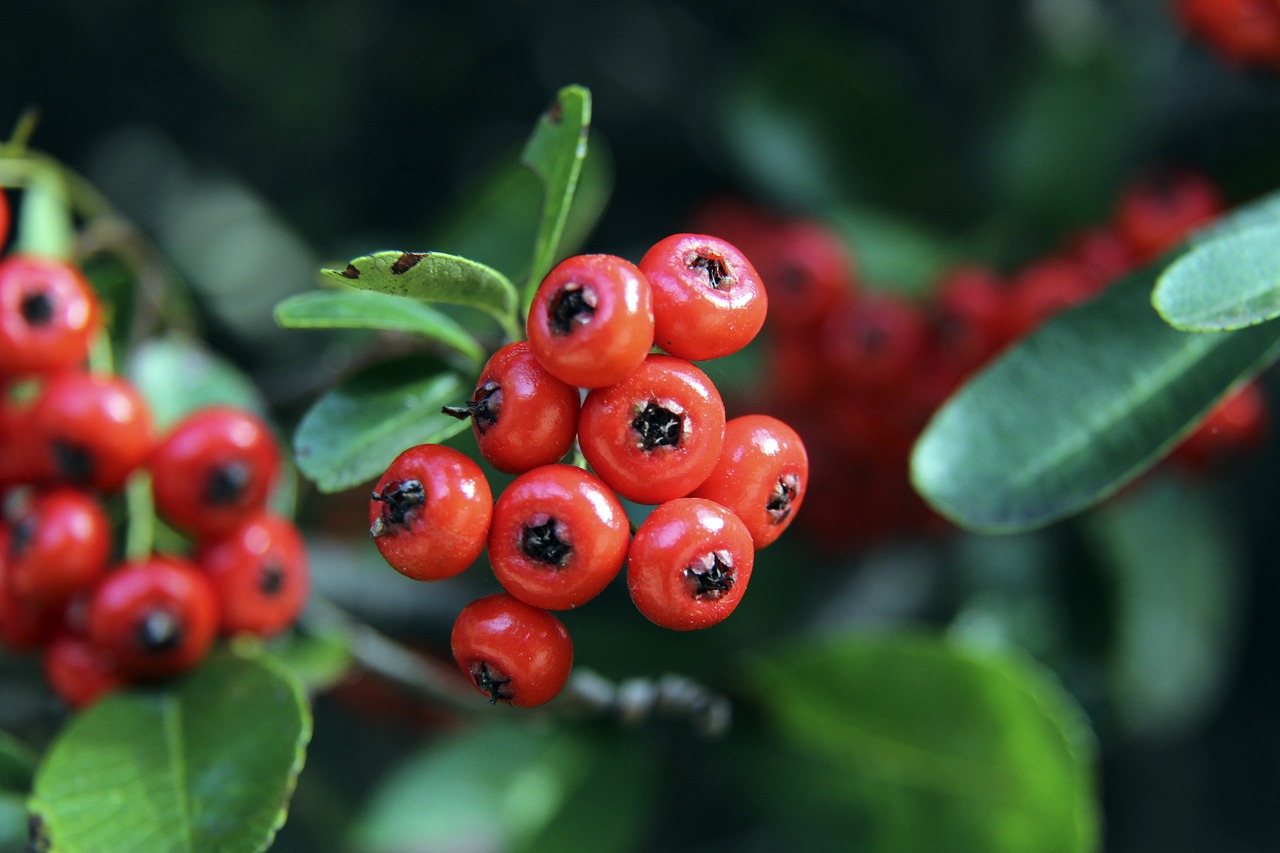 社会团体与 社会团体与