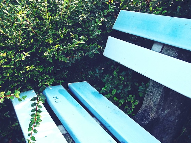 辽篮险胜上海后迎来四大惊喜，杨鸣细节助力四连冠底气.