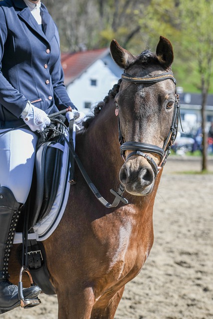 泰山博主：落定了，德尔加多租借成都蓉城队.