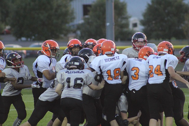 成功引导羊 成功引导羊