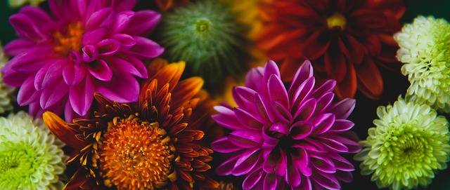 尽管赛季中 尽管赛季中